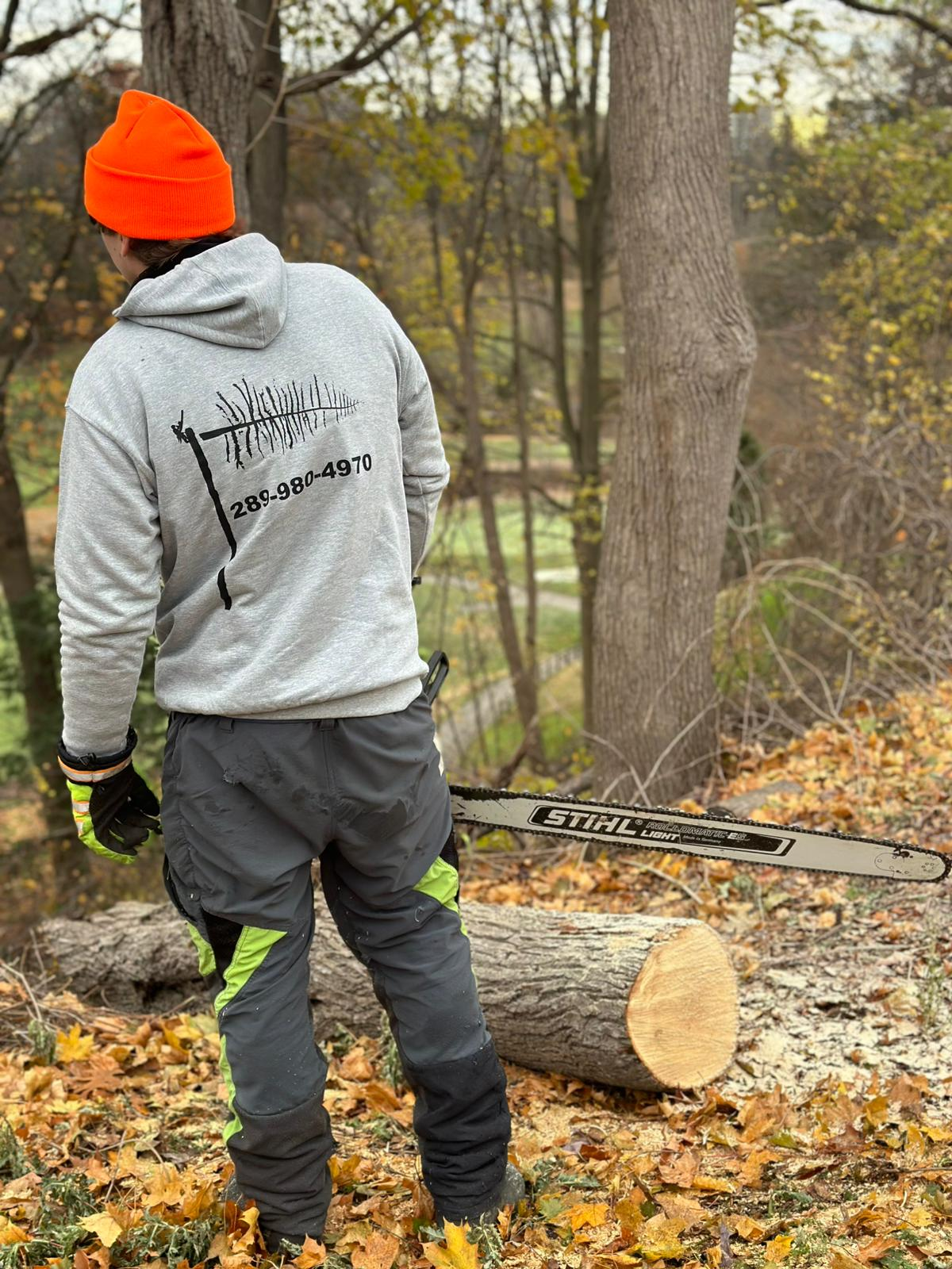 CE Tree Services Professional Arborist at Work