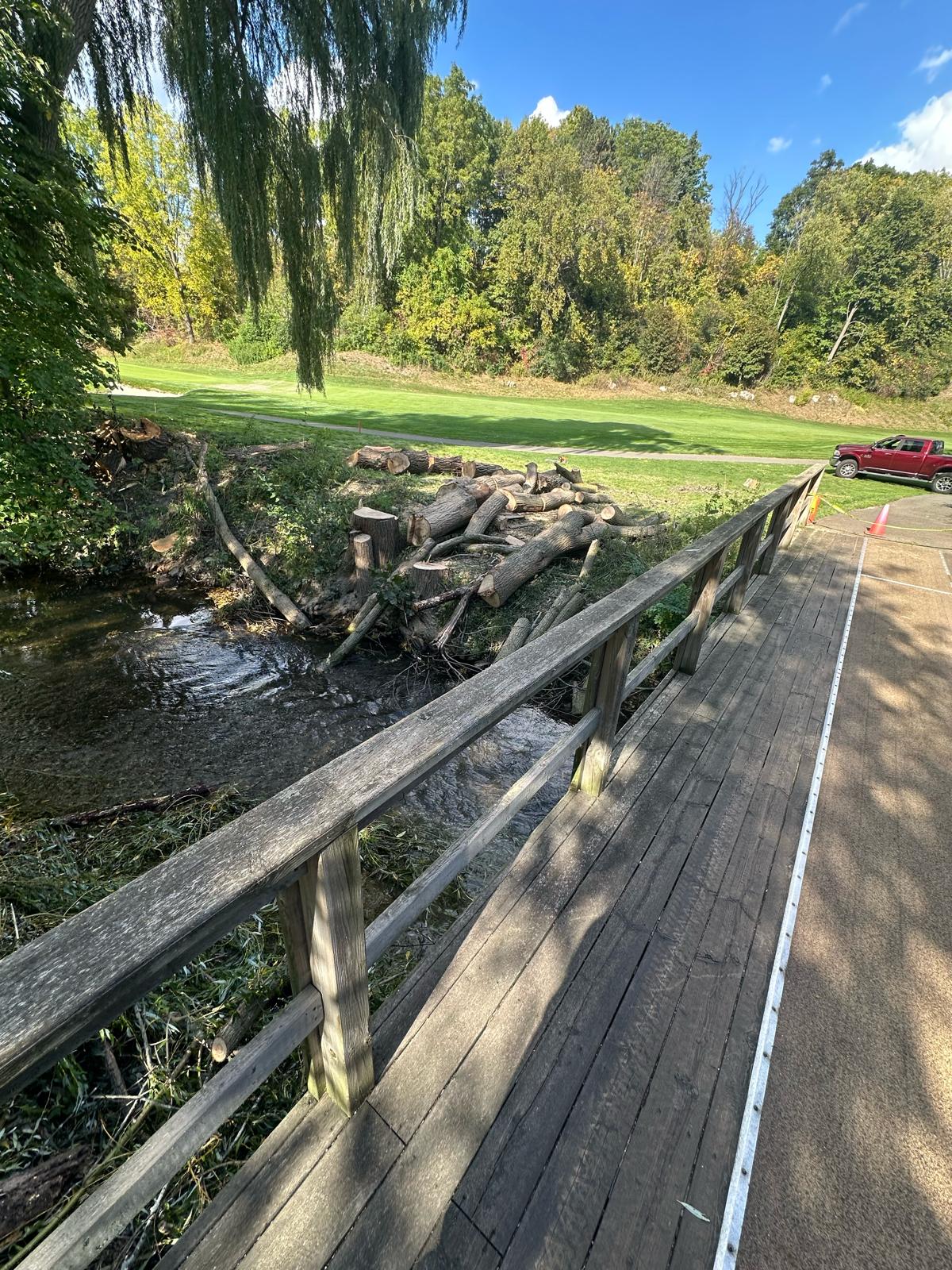 Emergency Tree Service